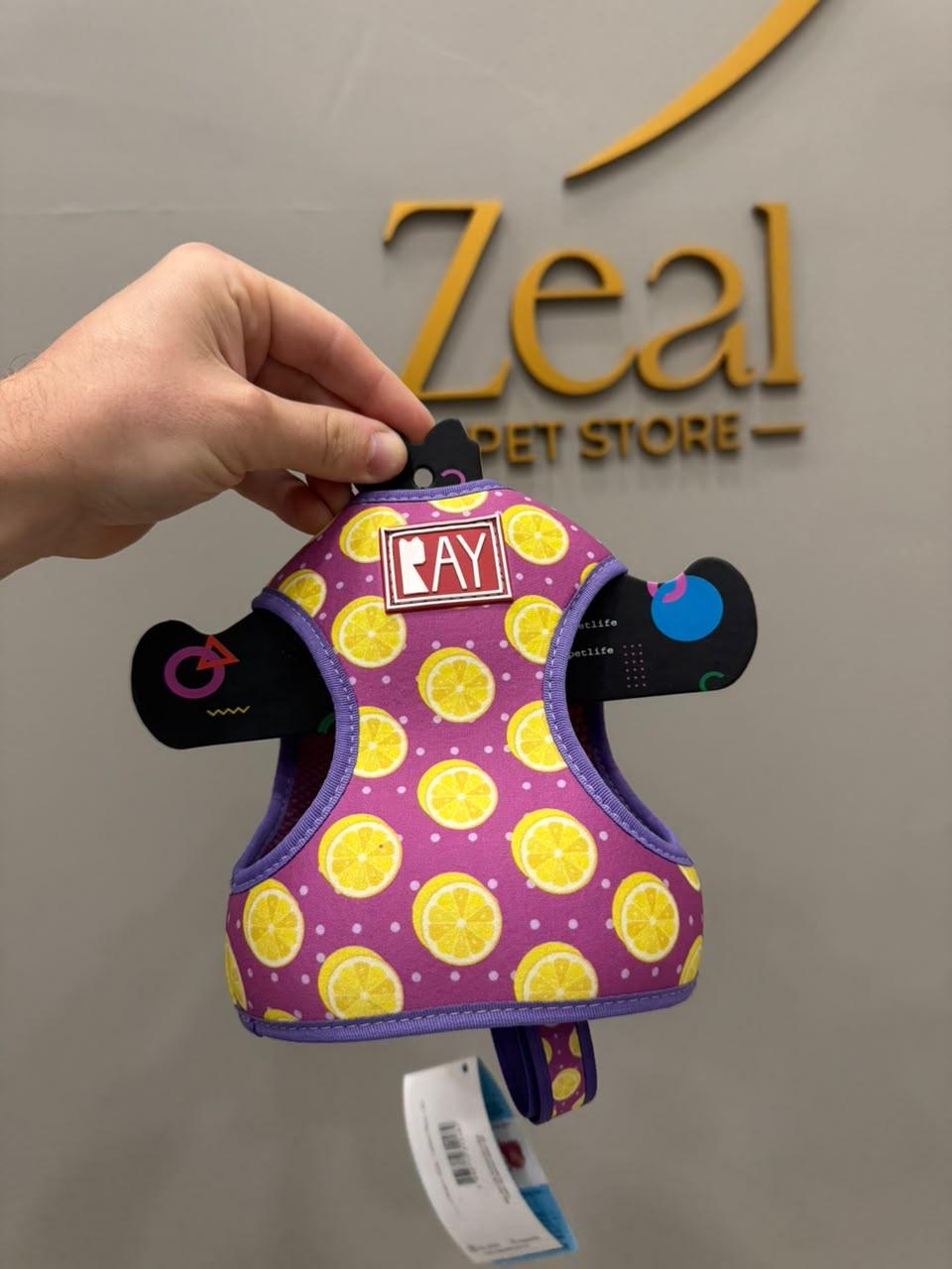 Peitoral estampado para cachorro